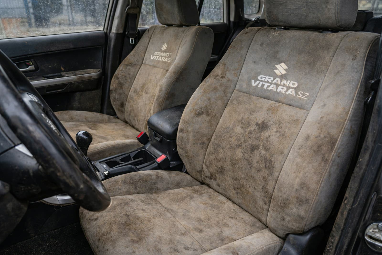 Mold in Your Car: How It Happens and How We Get Rid of It